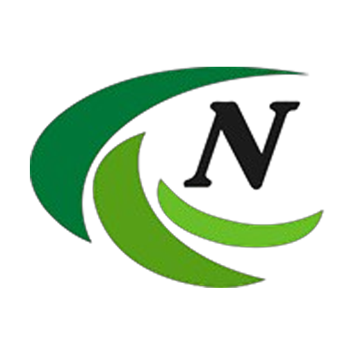 Next Phase Electrical Services Ltd logo